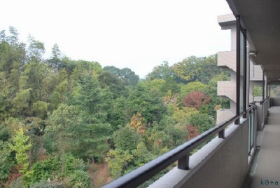 足立マンション2番館